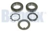 VW 2E0501319A Wheel Bearing Kit